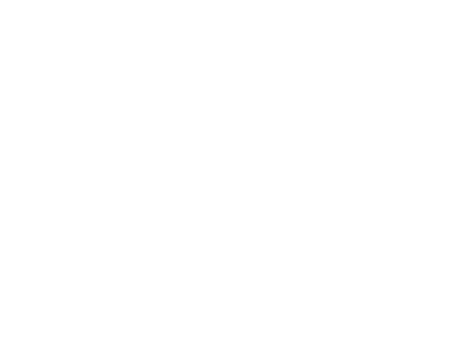 Thermite-Logo